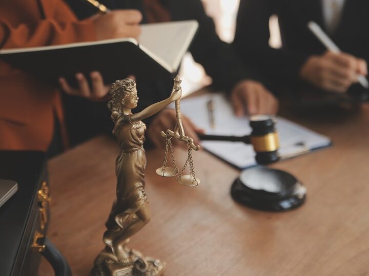 Kupuj choinkę z pewnego źródła – uniknij problemów prawnych!