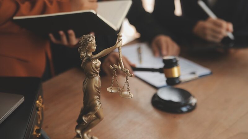 Kupuj choinkę z pewnego źródła – uniknij problemów prawnych!