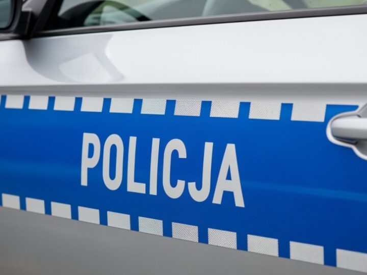 Kryminalni z Bytomia przejęli znaczne ilości narkotyków