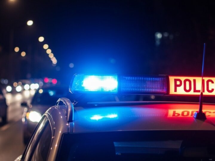 Bytom: 48-latek zatrzymany za kradzież książek z księgarni