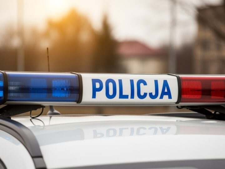 Niebezpieczny znalezisko w lesie: policja neutralizuje pocisk z II wojny światowej