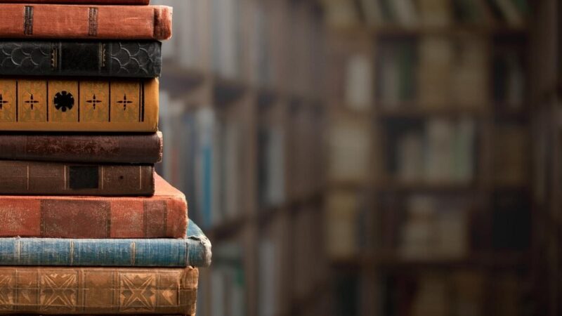 Literackie Spotkanie w Parku: Książki, Pasja i Wymiana Myśli