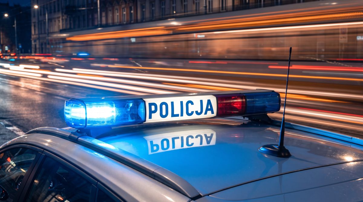 Zorro – nowy owczarek wspierający katowicką Policję w działaniach patrolowych